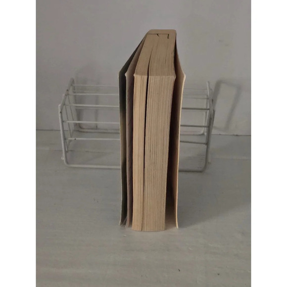 Book: A Plague of‎ Secrets - Picture 4 of 5